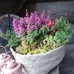 Karhuntaehti ヴィラ