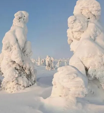 Karhuntaehti Villa *