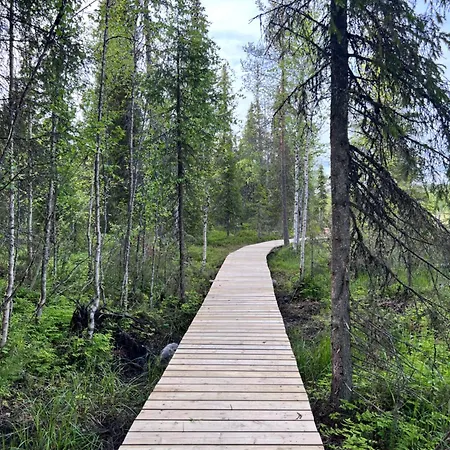 Karhuntaehti 빌라 루오스토