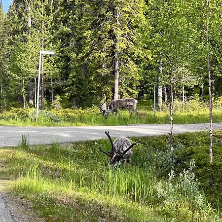 Villa Karhuntaehti *