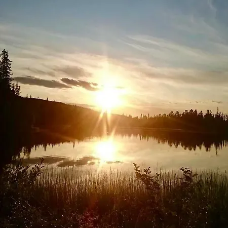 Karhuntaehti