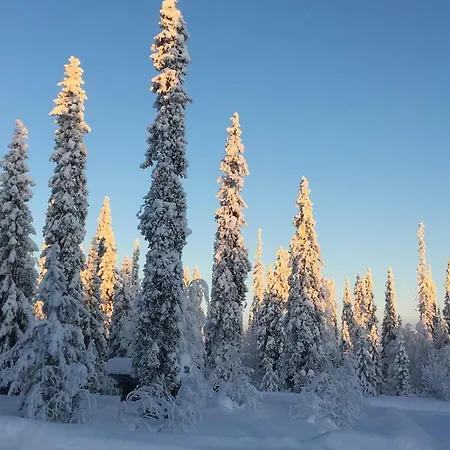 Karhuntaehti 루오스토