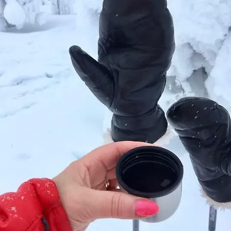 Karhuntaehti Villa Luosto