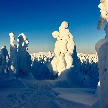 Karhuntaehti * Luosto