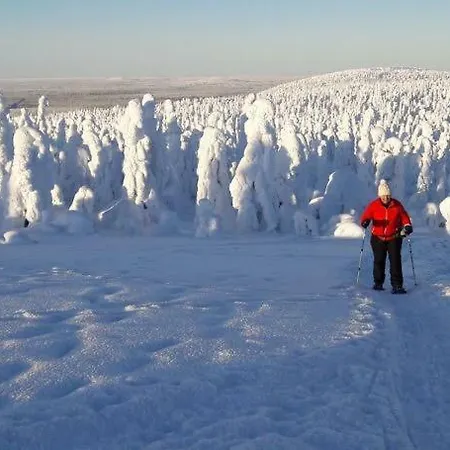 Karhuntaehti * Luosto