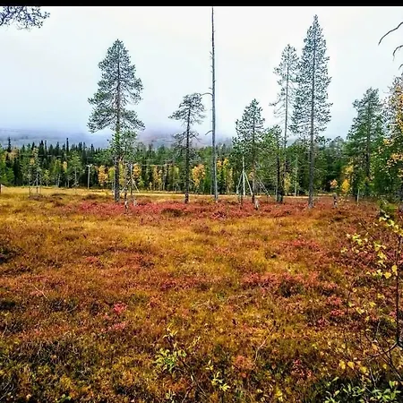 Karhuntaehti Luosto