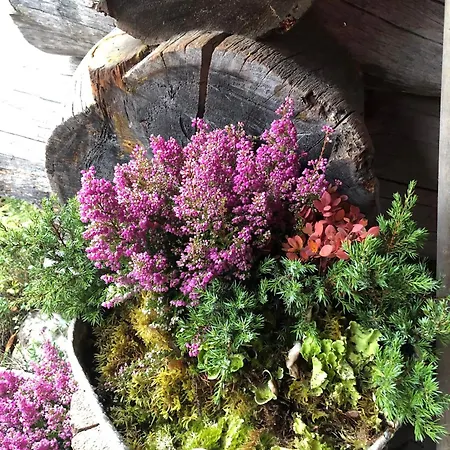 Karhuntaehti 빌라 루오스토