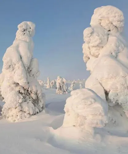 Karhuntaehti Villa *