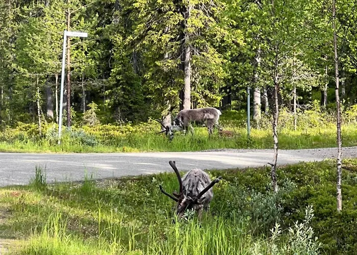 Villa Karhuntaehti *