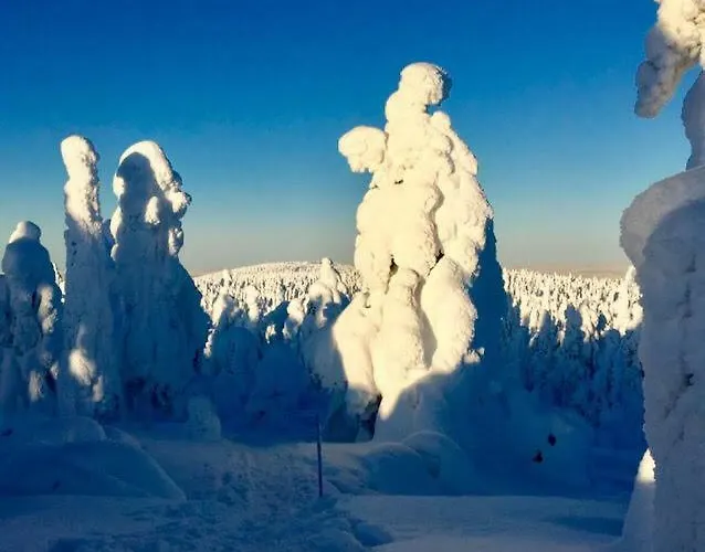 Karhuntaehti * Luosto