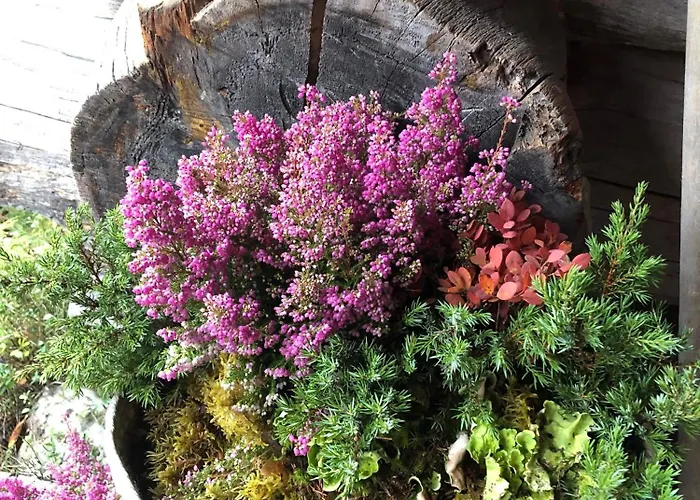 Karhuntaehti Villa Luosto